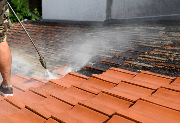 Best Local Pressure Washing Services  in Fulton, MS