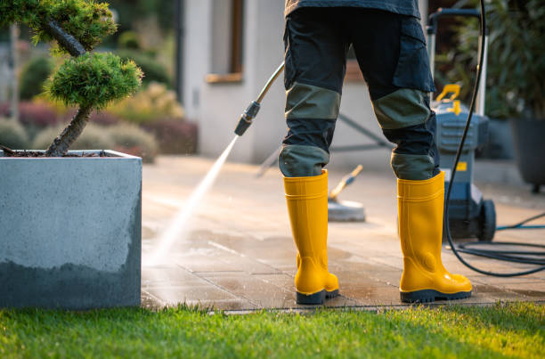 Best Exterior Home Cleaning  in Fulton, MS